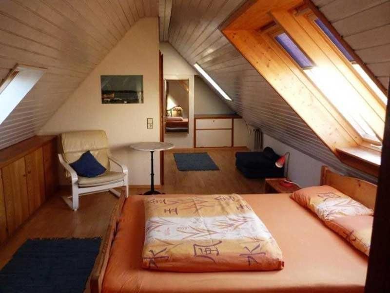 Freiburg Citywohnung 外观 照片
